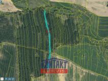 Prodej lesa, Třebějice, 10125 m2