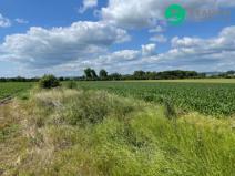 Prodej pole, Prostějov, 13852 m2