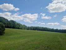 Prodej lesa, Bílá Lhota, 694 m2