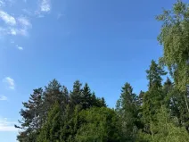 Prodej lesa, Bystřice, 8860 m2