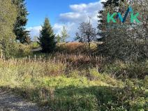 Prodej pozemku pro bydlení, Přebuz, 4666 m2