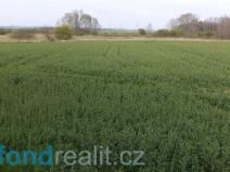 Prodej pole, Žíšov, 3467 m2