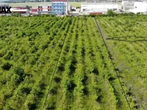 Prodej komerčního pozemku, Brno, 2465 m2