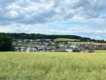 Prodej rodinného domu, Nová Ves pod Pleší, V Aleji, 145 m2