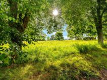 Prodej pozemku pro bydlení, Čestice, 1644 m2