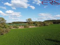 Prodej louky, Městec Králové, 28150 m2