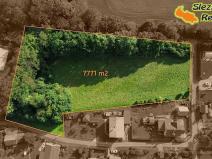 Prodej pozemku pro bydlení, Fryčovice, 7771 m2