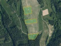 Prodej pole, Jílové u Držkova, 27556 m2