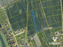 Prodej podílu pole, Skuhrov, 2180 m2