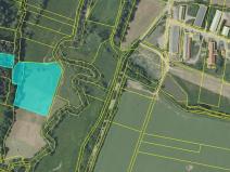 Prodej lesa, Louňovice pod Blaníkem, 8755 m2