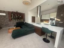 Pronájem rodinného domu, Háj u Duchcova - Domaslavice, Lesní stezka, 768 m2