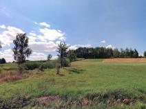 Prodej pozemku, Nová Ves u Mladé Vožice, 5392 m2