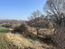 Prodej louky, Praha - Královice, 698 m2