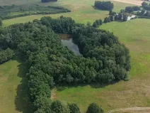 Prodej lesa, Chlum u Třeboně - Žíteč, 360000 m2