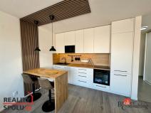 Pronájem bytu 1+kk, Plzeň - Východní Předměstí, Kartónová, 43 m2