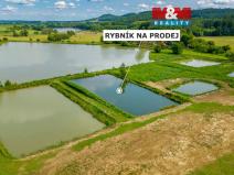 Prodej rybníku, Ostružno, 3377 m2