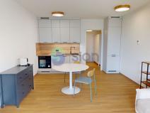 Pronájem bytu 1+kk, Ostrava, U Hájenky, 34 m2