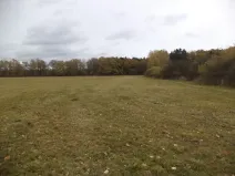 Dražba louky, Ždírec, 26461 m2