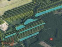 Prodej lesa, Nekmíř, 22136 m2