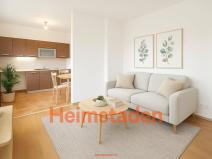 Pronájem bytu 1+kk, Karviná - Nové Město, Zakladatelská, 26 m2