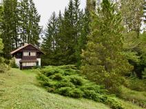 Prodej chaty, Číhošť, 75 m2