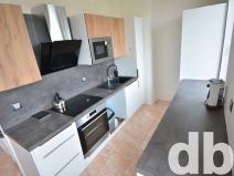 Pronájem bytu 3+1, Krásné Údolí, 83 m2