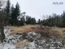 Prodej lesa, Votice - Hory, 9012 m2