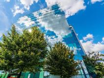 Pronájem kanceláře, Praha, 250 m2