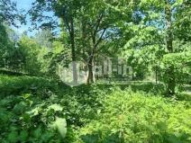 Prodej pozemku pro bydlení, Malá Morava - Vysoký Potok, 1411 m2