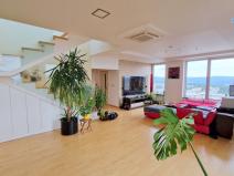 Prodej bytu 4+kk, Brno - Lesná, Majdalenky, 446 m2