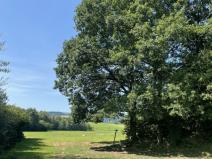 Prodej pozemku pro bydlení, Kolinec - Sluhov, 3805 m2