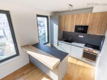 Pronájem bytu 3+kk, Praha - Žižkov, U Viktorie, 70 m2