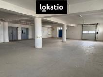 Pronájem skladu, Kostěnice, 3000 m2