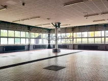 Pronájem obchodního prostoru, Praha, Za Mototechnou, 1137 m2