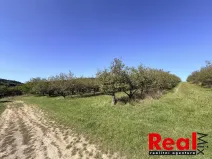 Prodej pozemku pro bydlení, Veverské Knínice, 3129 m2