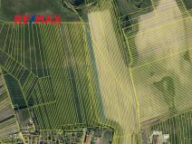 Prodej pole, Vacenovice, 4427 m2