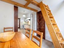 Pronájem bytu 1+1, Brno, Reissigova, 48 m2