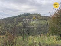 Prodej sadu/vinice, Koryčany - Blišice, 4839 m2