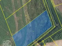 Dražba pole, Libníkovice, 11414 m2