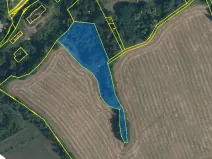 Prodej louky, Heřmanice, 8093 m2