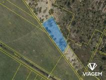 Prodej lesa, Borkovice, 3561 m2