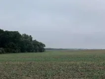 Dražba pole, Budyně nad Ohří, 23046 m2