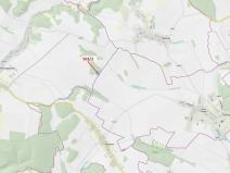 Dražba lesa, Přemyslovice, 6942 m2