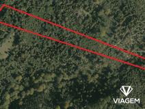 Prodej podílu lesa, Nýdek, 3108 m2