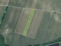 Prodej sadu/vinice, Sedlec, 10059 m2