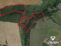 Prodej podílu lesa, Chlum, 8737 m2