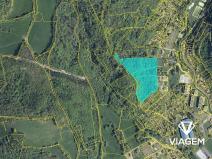 Prodej lesa, Povrly, 26984 m2