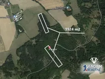 Prodej lesa, Hradiště, 3924 m2