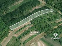 Prodej podílu zahrady, Kobylí, 2840 m2