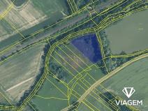 Prodej podílu pole, Starý Jičín, 7033 m2